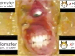 Bonito estúpido o suficiente para parar x videos pornos caseiros de me magoar