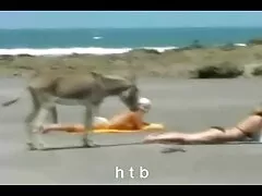Grande vidio caseiro pono garoto porra pequena loira